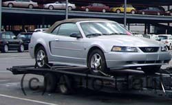 Mustang Convertable delivery